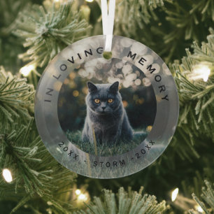 Glas met foto van huisdierkat voor Kerstmis ter na Ornament