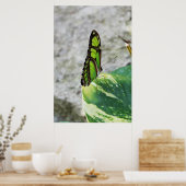 Glas met kleur poster (Keuken)