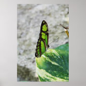 Glas met kleur poster (Voorkant)