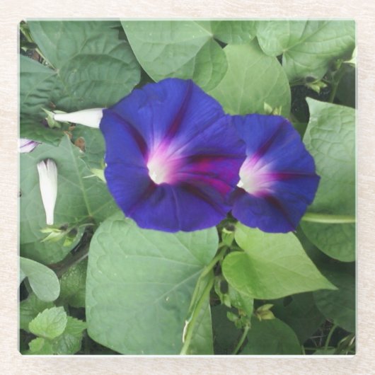 Glas Onderzetter met Floral Afbeelding (Voorkant)