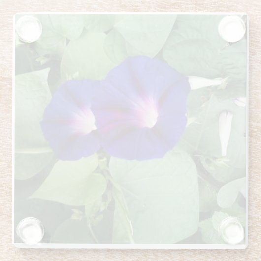 Glas Onderzetter met Floral Afbeelding (Achterkant)