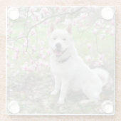 Glas Onderzetter Wit Akita (Achterkant)