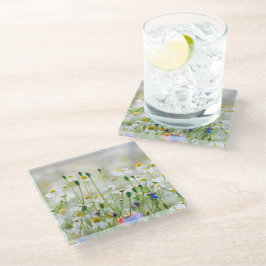 Glas Onderzetters - Korenbloemen en Madeliefjes