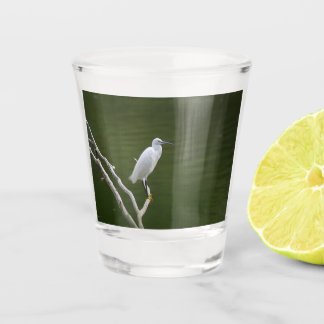 Glas reiger garzette