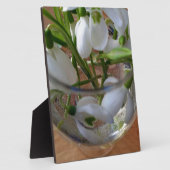 glas sneeuwval fotoplaat (Zijkant)