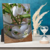 glas sneeuwval fotoplaat (Zijkant)