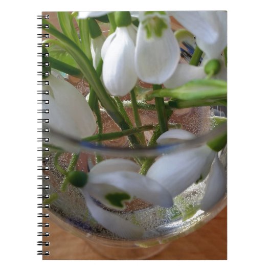 glas sneeuwval notitieboek (Voorkant)