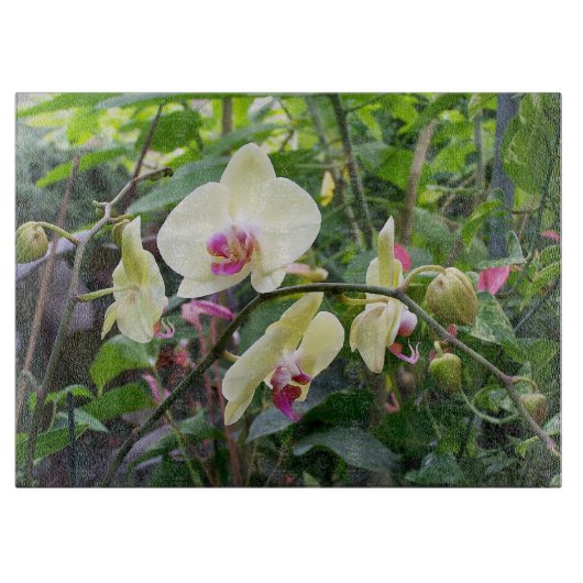 Glas snijplank gele orchideeën (Voorkant)