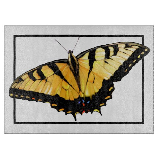 Glas Snijplank Tijger Swallowtail (Voorkant)