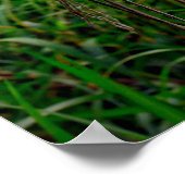 Glas Vist drijvers opknoping in touw netting Poster (Hoek)