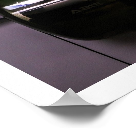 Glasgow-toilet Poster (Hoek)