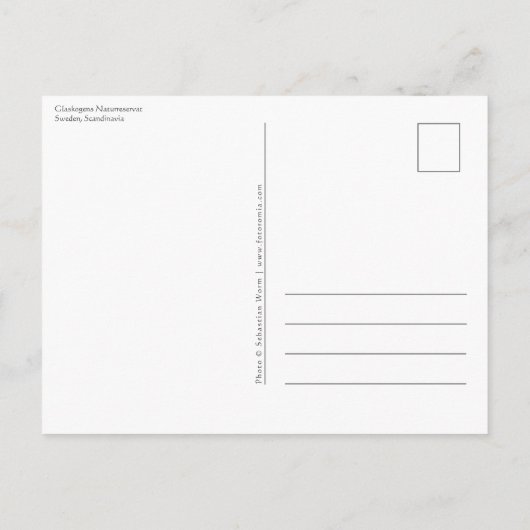 Glaskogen Zweden Briefkaart (Achterkant)