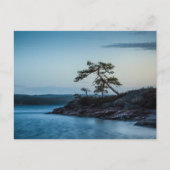 Glaskogen Zweden Briefkaart (Voorkant)