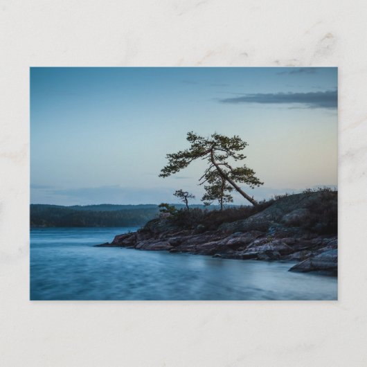 Glaskogen Zweden Briefkaart (Voorkant)