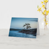 Glaskogen Zweden Kaart (Gele Bloem)