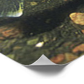 Glasogen in Tank Foto Poster (Hoek)