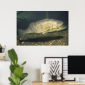 Glasogen in Tank Foto Poster (Thuiskantoor)