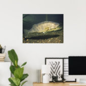 Glasogen Print van Snoekbaars (Thuiskantoor)