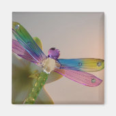 Glass Dragonfly Magnet (Voorkant)