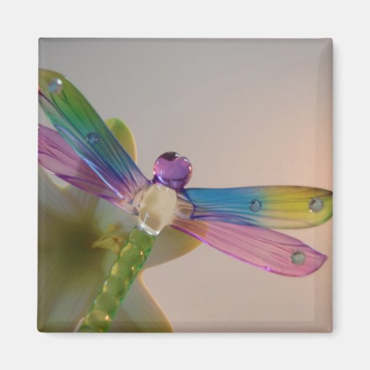 Glass Dragonfly Magnet (Voorkant)