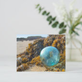 Glass Float op Kelp Briefkaart (Staand voorkant)