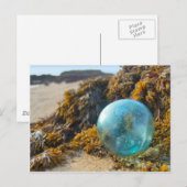 Glass Float op Kelp Briefkaart (Voorkant / Achterkant)