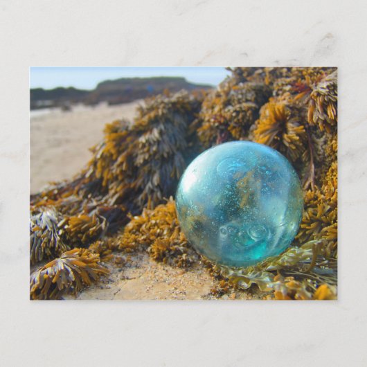 Glass Float op Kelp Briefkaart (Voorkant)