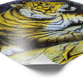Glass Magic Lantaarn slide A TIGER 1900 BIG CAT Foto Afdruk (Hoek)