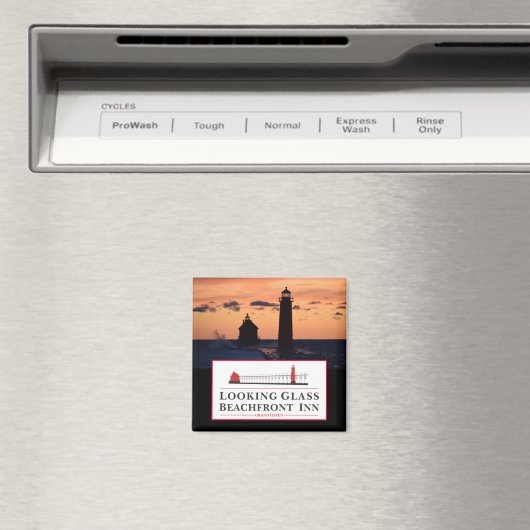 GLASS MAGNET BEKIJKEN (Insitu (Vaatwasser))