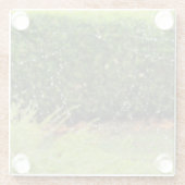 Glass Onderzetter - Spinnenweb met regendruppels (Achterkant)