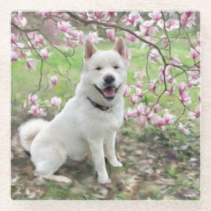 Glass Onderzetter White Akita