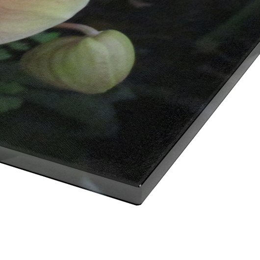 Glassnijplaat Snijplank (Hoek)