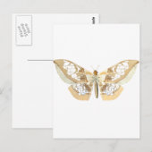 GlassWing Butterfly Briefkaart (Voorkant / Achterkant)