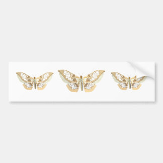 GlassWing Butterfly Bumpersticker