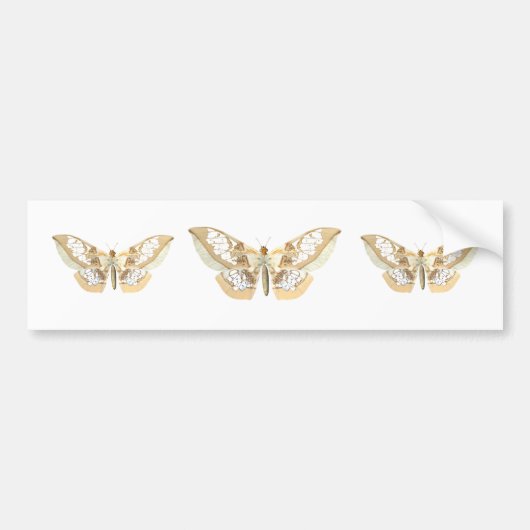 GlassWing Butterfly Bumpersticker (Voorkant)