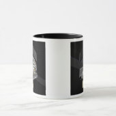 GLAST 3 MOK (Midden)