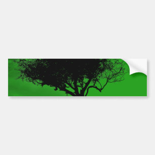 Glastonbury Hawthorn. Boom op Hill. Groen zwart. Bumpersticker