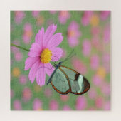 Glasvleugelvlinder op een Cosmos Bloem Legpuzzel (Horizontaal)