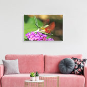 Glasvlinder Kolibrie Pijlstaart Canvas Afdruk (Insitu (Woonkamer))