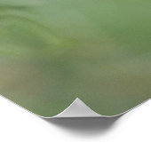 Glaucidium brasilianum, 3 poster (Hoek)