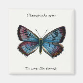 Glaucopsyche arion - De grote blauwe vlinder Magneet (Voorkant)