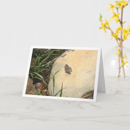 Glaucopsyche melanops, Blauwe vlinder met zwarte o Kaart (Gele Bloem)