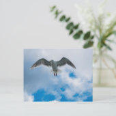 Glaucoskleurige meeuw briefkaart (Staand voorkant)