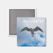 Glaucoskleurige meeuw magneet (Voorkant / Achterkant)