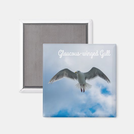 Glaucoskleurige meeuw magneet (Voorkant / Achterkant)