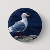 Glaucous Gull Ronde Button 5,7 Cm (Voorkant)