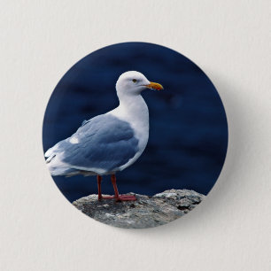 Glaucous Gull Ronde Button 5,7 Cm