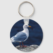 Glaucous Gull Sleutelhanger (Voorkant)