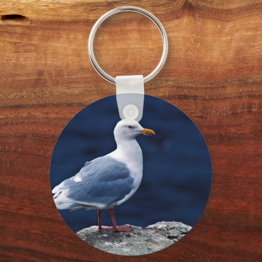 Glaucous Gull Sleutelhanger (Voorkant)