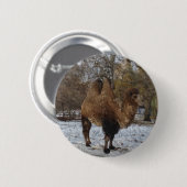 Glazed Camel Art #8083 Ronde Button 5,7 Cm (Voorkant /achterkant)